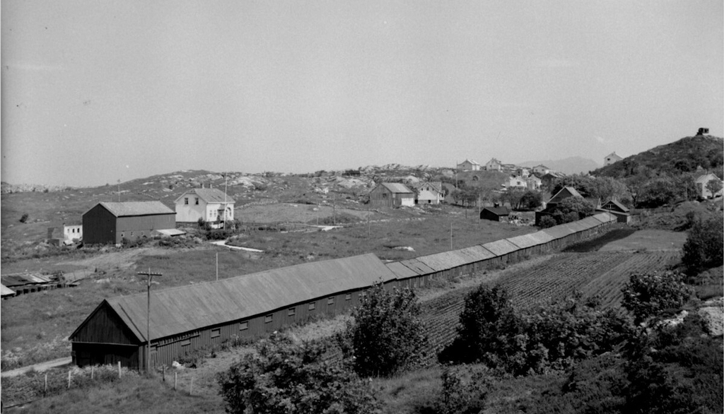 reperbanen 1950 moses