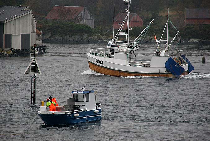 Reketråler til salgs