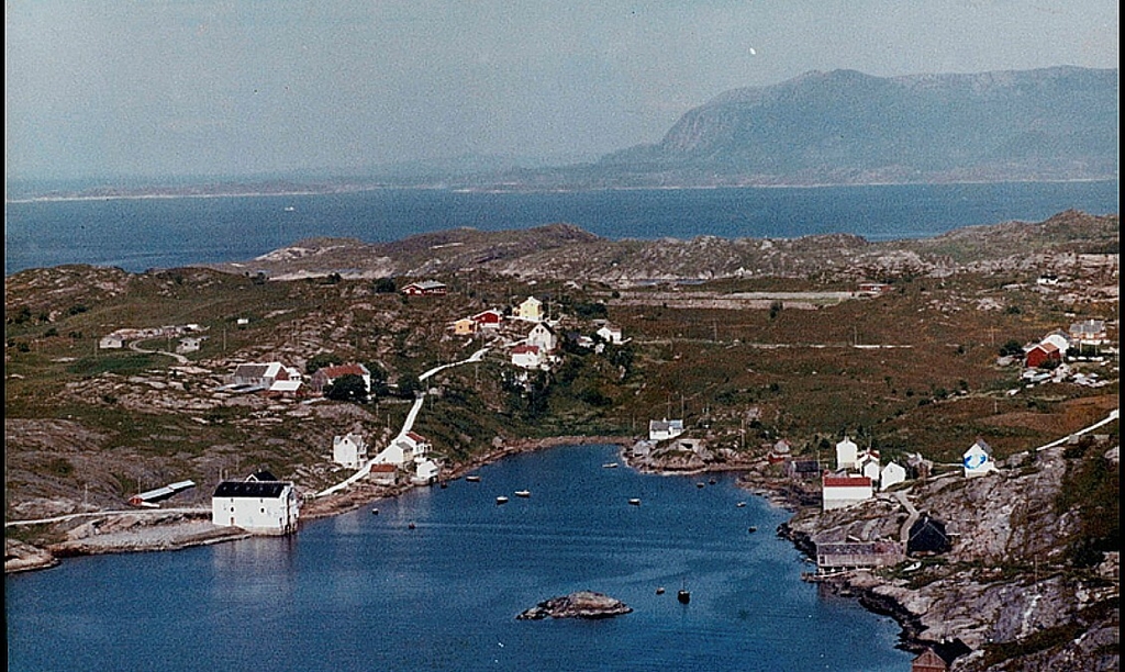 vikjinn