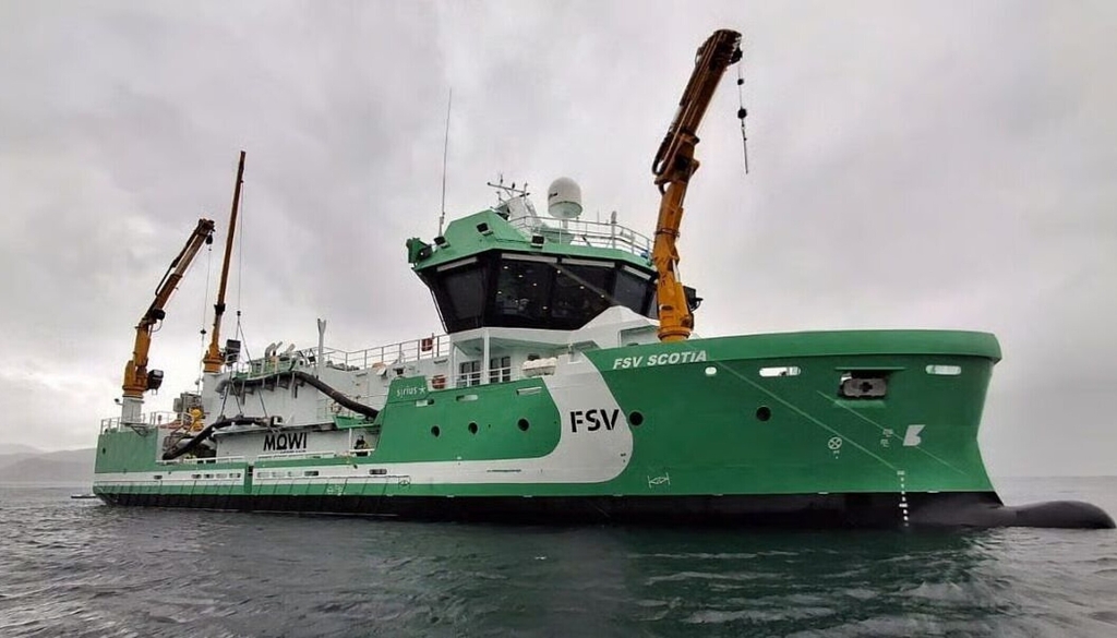 fsv