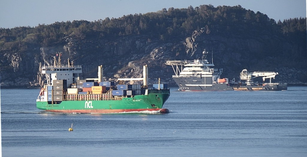 annel salt delta