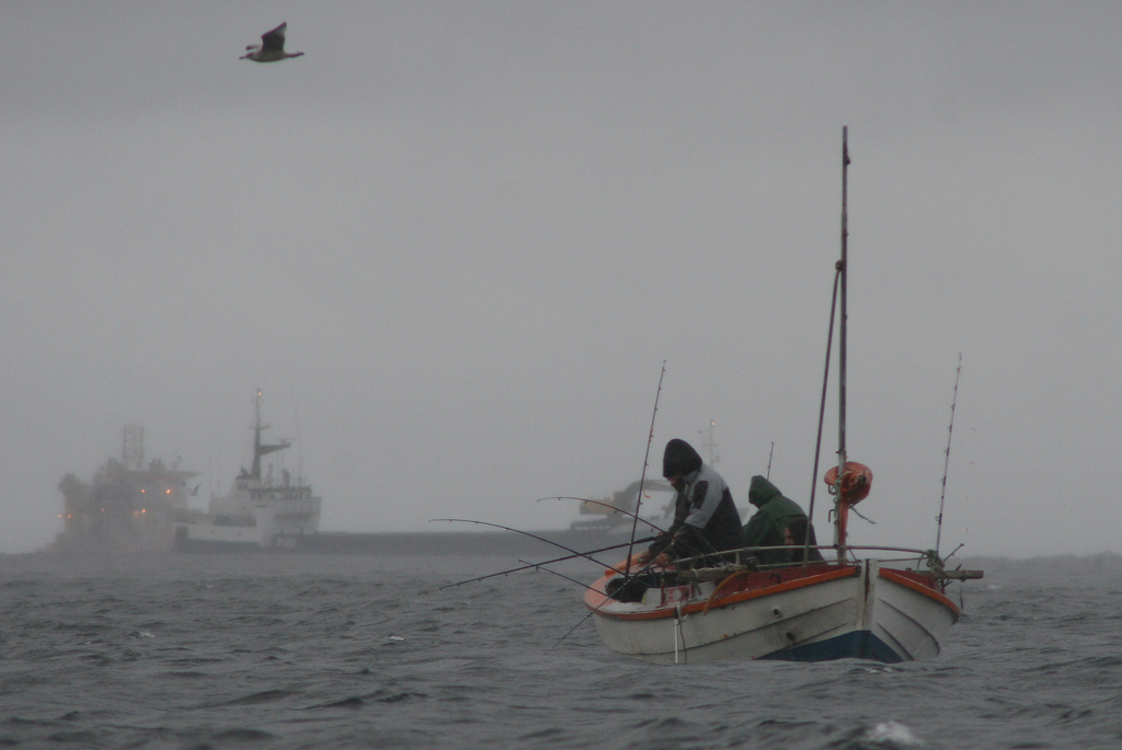 fisketurist br fjord