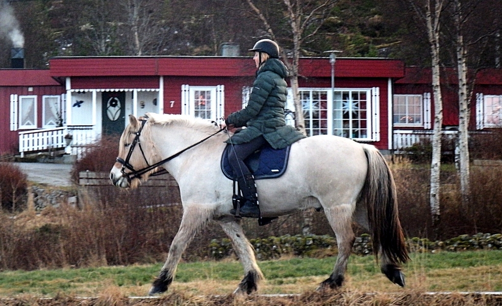 hest røsand