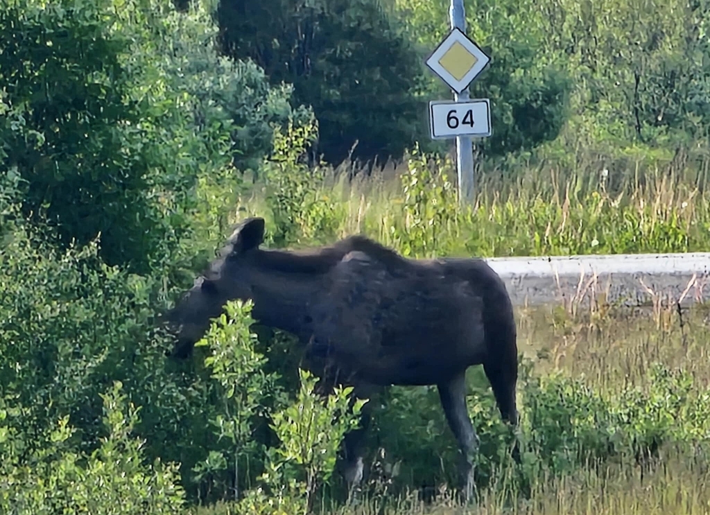 helg hr