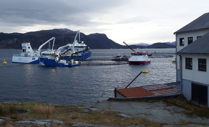 hogsnes brygge