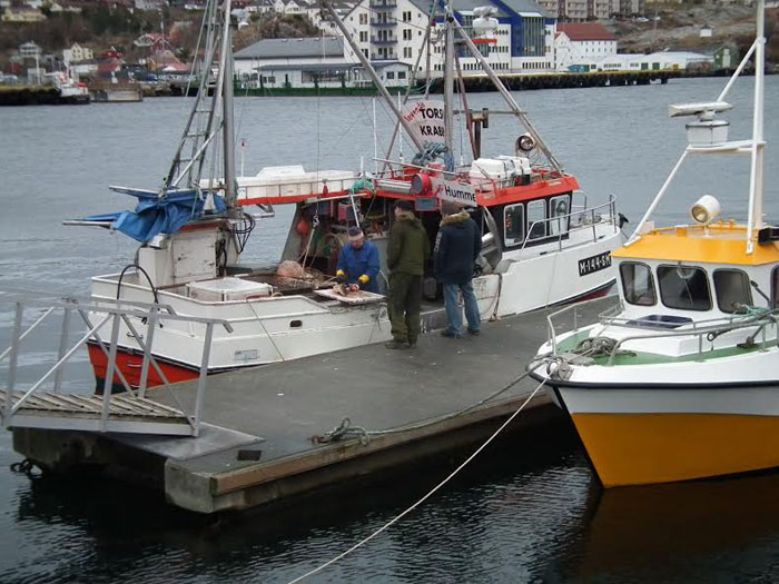fiskebilen christianshavns torvpn