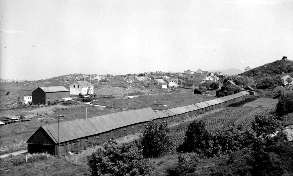 reperbanen 1950