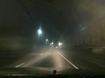 fog_xxx